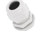 2411.631 Cable Glands, Strain Reliefs & Cord Grips
