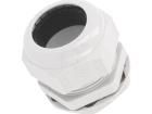 2411.661 Cable Glands, Strain Reliefs & Cord Grips