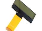 RX1602A2-FHW-TS LCD Character Display Modules & Accessories