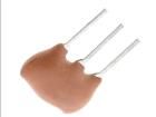 CST8.00MTW Passive Components