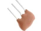 CST8.00MTW Resonators