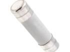 420010 Cartridge Fuses