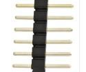 PR20C06VBNN Headers & Wire Housings