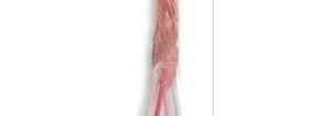 441-0100-05-01 Multi-Conductor Cables