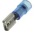 FNDDF1614T-250A Terminals