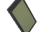 EA SER202-NLW Display Modules