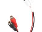 AUX-AUDI.01-RCA Aux Adapters