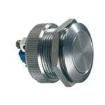 AV19LP407 Pushbutton Switches