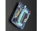 462 Programmers - Processor Based