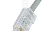 TRD450-10 Ethernet Cables / Networking Cables