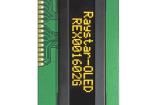 REX001602GYPP5N00000 OLED Displays & Accessories