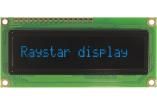REC001601ABPP5N00000 electronic component of Raystar