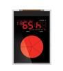 4DLCD-FT843  Embedded Solutions