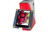 4DPI-32 Display Modules
