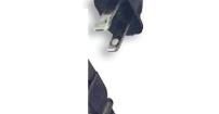 SJA172-1 Other Tools