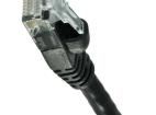 73-8891-5 Ethernet Cables / Networking Cables