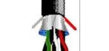 5542FE 0081000 Multi-Conductor Cables