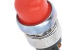 A2-19-14-A2 Pushbutton Switches