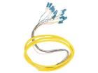 54360  Wire & Cable