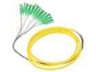 54362  Wire & Cable