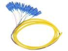 54363  Wire & Cable