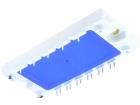 BSM10GD120DN2E3224  Semiconductors