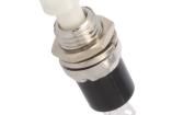 PS10BWH Pushbutton Switches