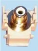 RCAINSERTY-W Connectors