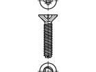 1540556 Screws & Fasteners