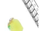 FYLS-0805UWC High Power LEDs - White