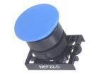 NEF22-DN Pushbutton Switches