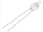 NEON-7  Optoelectronics