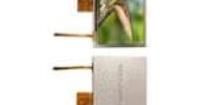 NHD-7.0-800480EF-ASXN#-T TFT Displays & Accessories