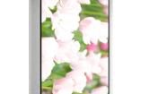 RFE43BQ-EIW-DBS TFT Displays & Accessories