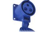NL4FX-4  Connectors