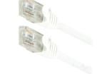 CP2041U Ethernet Cables / Networking Cables