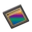 NOIP3SN5000A-LTI  Sensors