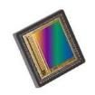 NOIP3SN5000A-LTI Image Sensors
