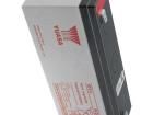 NP3-6 Sealed Lead Acid Battery