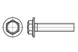 M5X12/BN5950 electronic component of Bossard