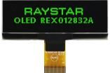 REX012832AGPP3N00000 electronic component of Raystar