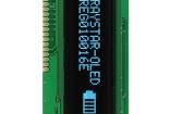 REG010016EBPP5N00000 OLED Displays & Accessories