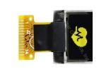 REX006432AYPP3N00000 OLED Displays & Accessories