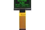 REX012864FGPP3N00000 electronic component of Raystar