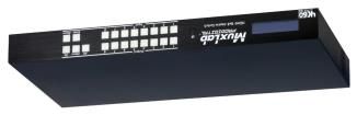 500443-US 