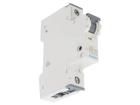 5SY6120-6  Circuit Protection