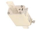2000313.32 Cartridge Fuses