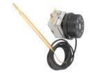 C700507000 Thermostats