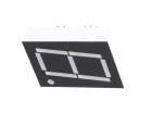 OPD-S10021YG-BW LED Displays & Accessories