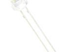 OSWA4E56C1A-HCRI Standard LEDs - Through Hole